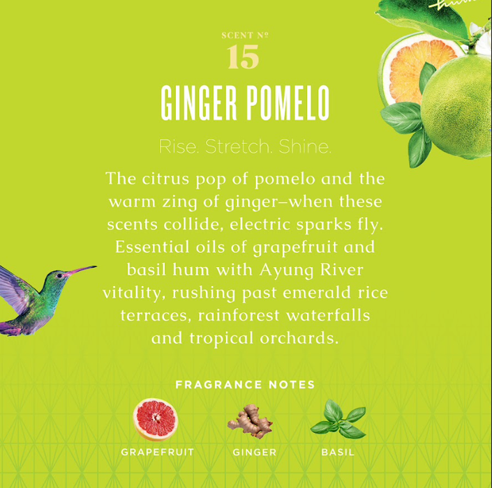 Ginger Pomelo Countertop Spray with Vegetable Protein