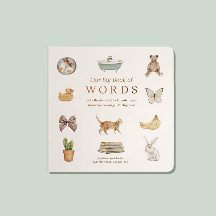 Our Big Book of First Words Board Book