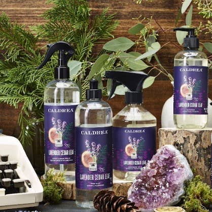 Lavender Cedar Leaf Hand Soap with Shea Butter & Aloe Vera
