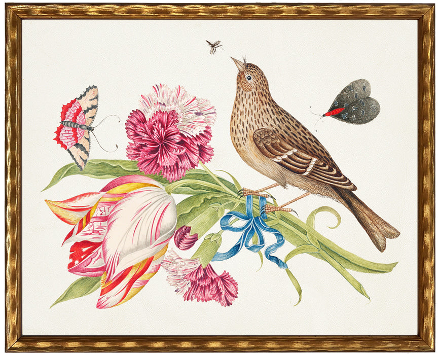 Art Print, Vintage Bookplate with Birds & Insects
