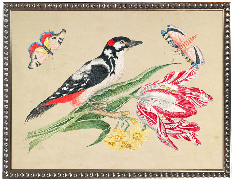 Art Print, Vintage Bookplate with Bird