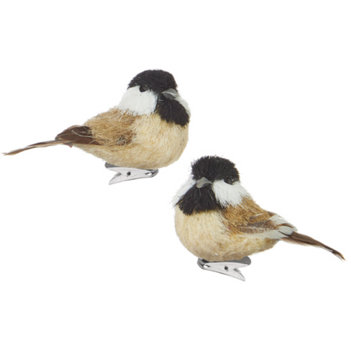 Ornament, Bird Clip On