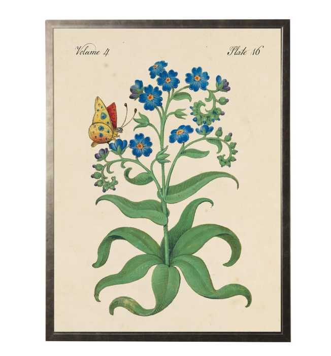 Art Print, Blue Flowers and a Butterfly