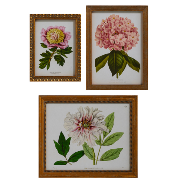 Framed Wall Art, Floral