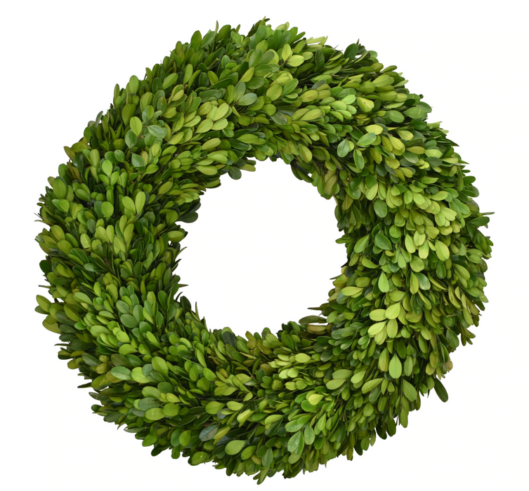 Preserved Boxwood Wreath, 16"