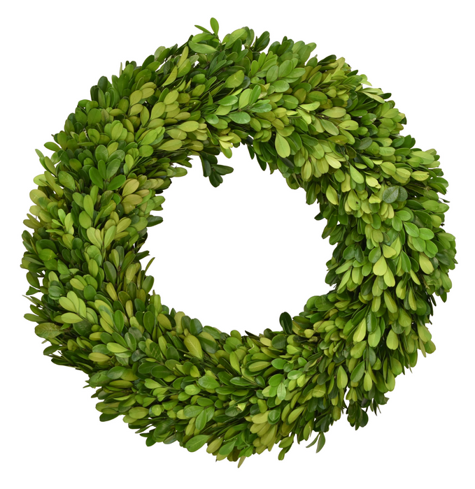 Preserved Boxwood Wreath, 14"
