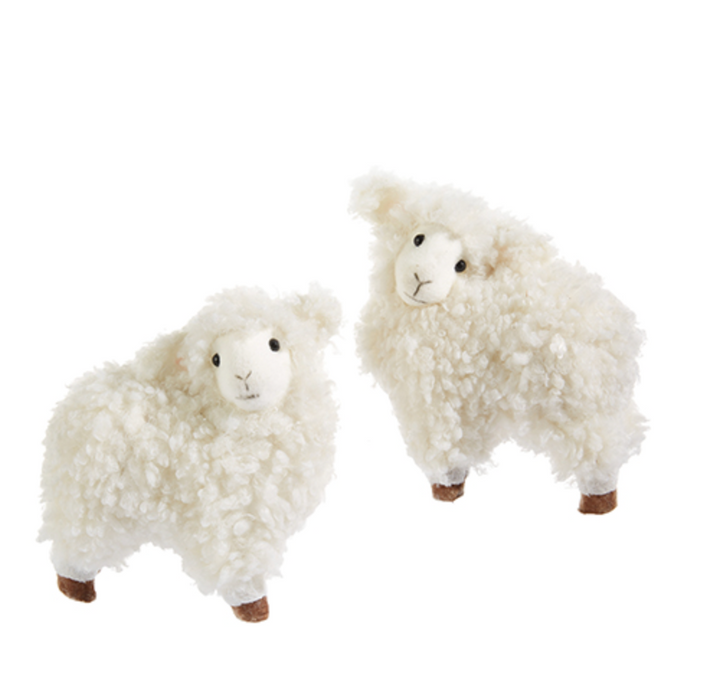 Sherpa Lamb
