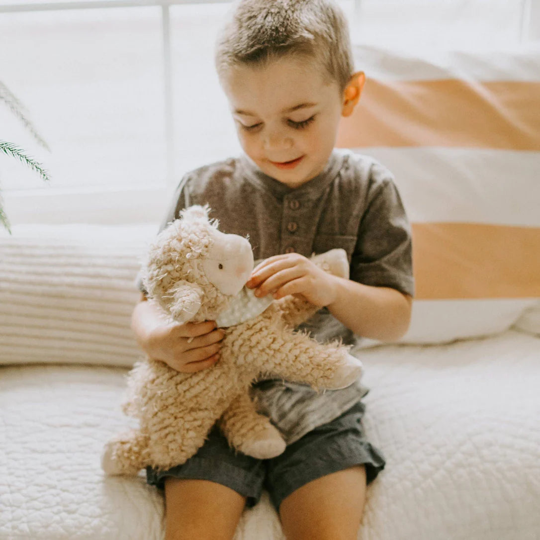 Toys & Plush