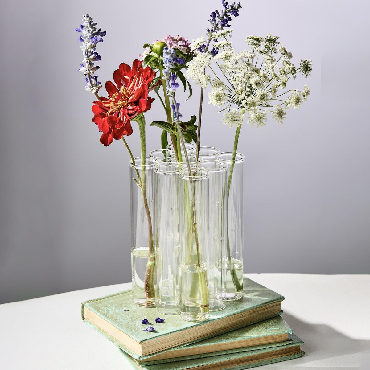 The Garden Shop — The Polka Dot Press
