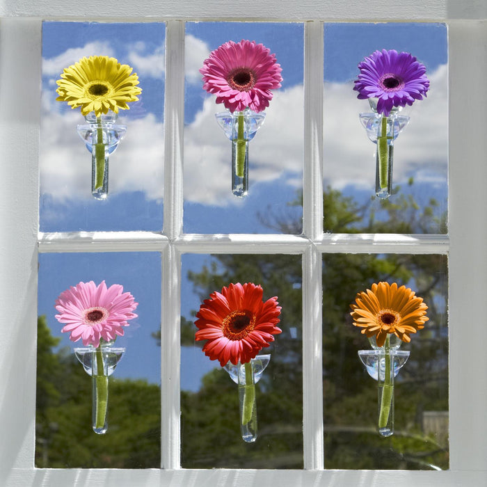 Wall Flower Vase