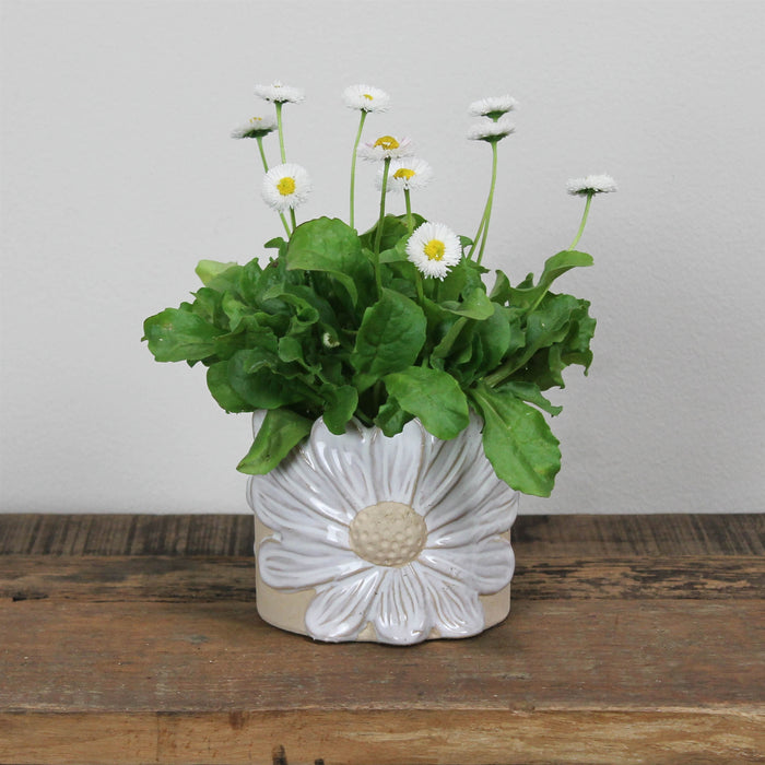 Daisy Ceramic Cachepot