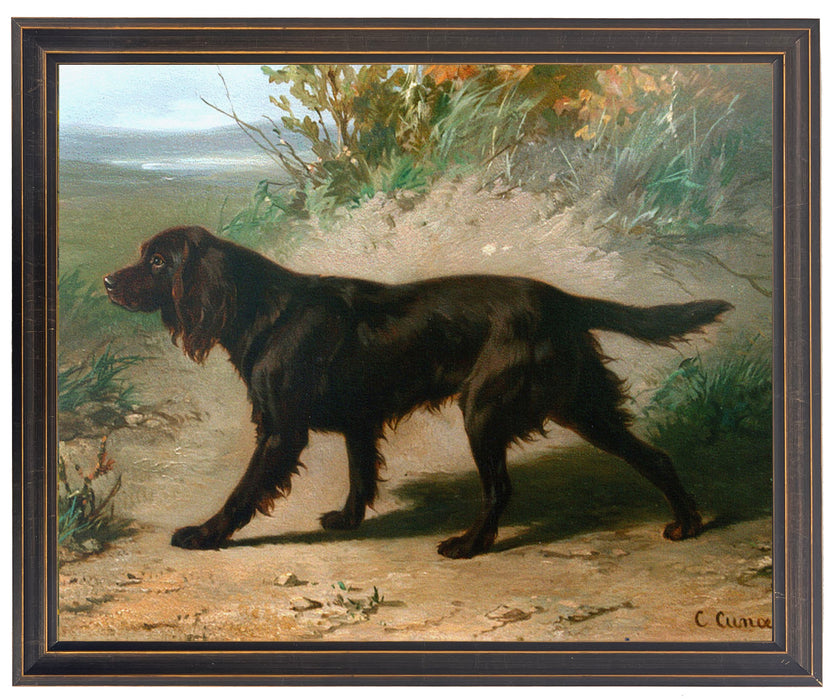 Art Print, Vintage Boykin Spaniel Oil Reproduction