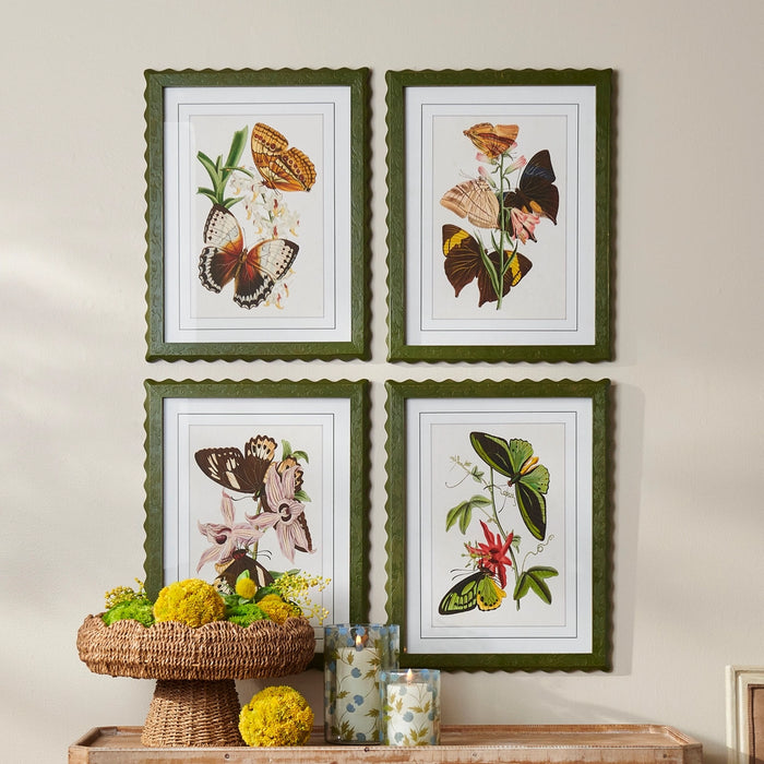 Art Print, Butterfly Framed, 4 Styles