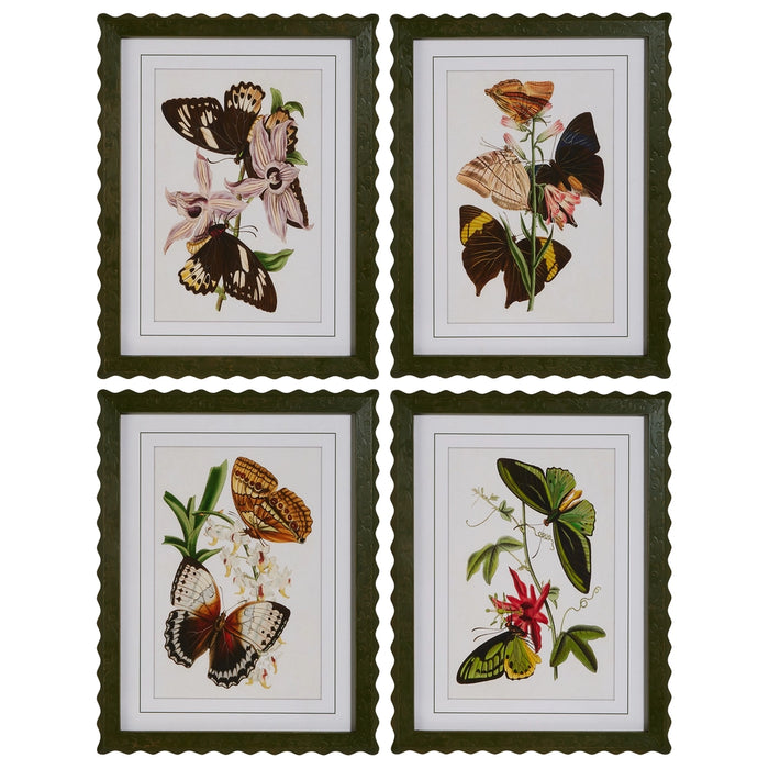 Art Print, Butterfly Framed, 4 Styles