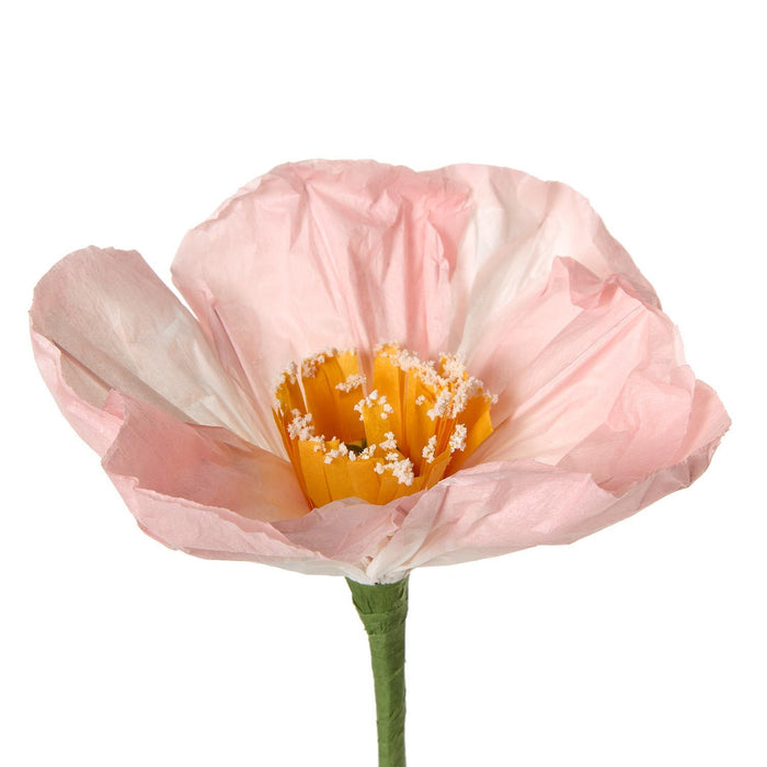 Paper Flowers, 3 Colors and Sizes