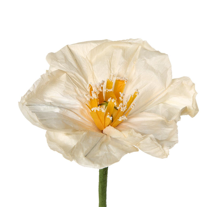 Paper Flowers, 3 Colors and Sizes