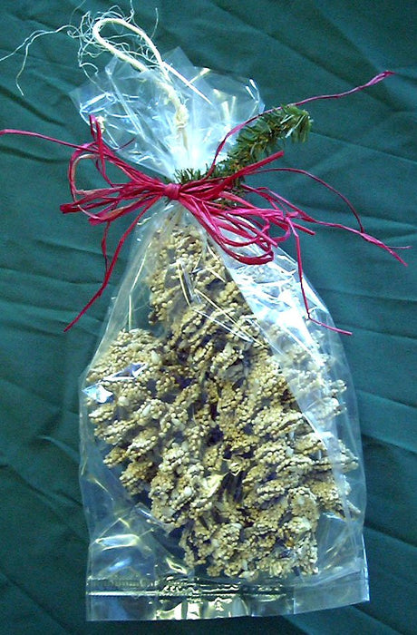 Pinecone Pair