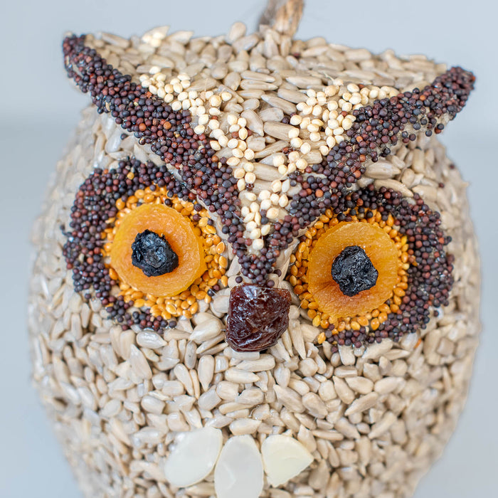 Whoo-lio the Owl Bird Treat