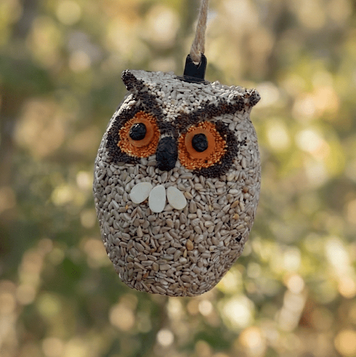 Whoo-lio the Owl Bird Treat