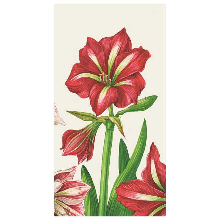 Amaryllis Blooms Guest Napkin