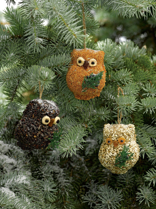 Ollie Owl Bird Treat, 3 Styles