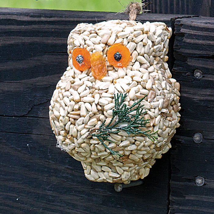 Ollie Owl Bird Treat, 3 Styles