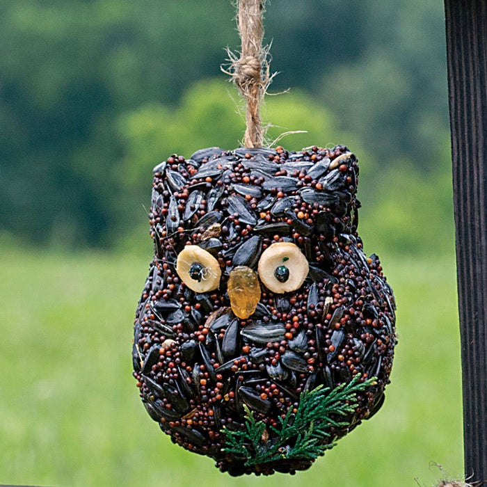 Ollie Owl Bird Treat, 3 Styles