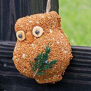 Ollie Owl Bird Treat, 3 Styles
