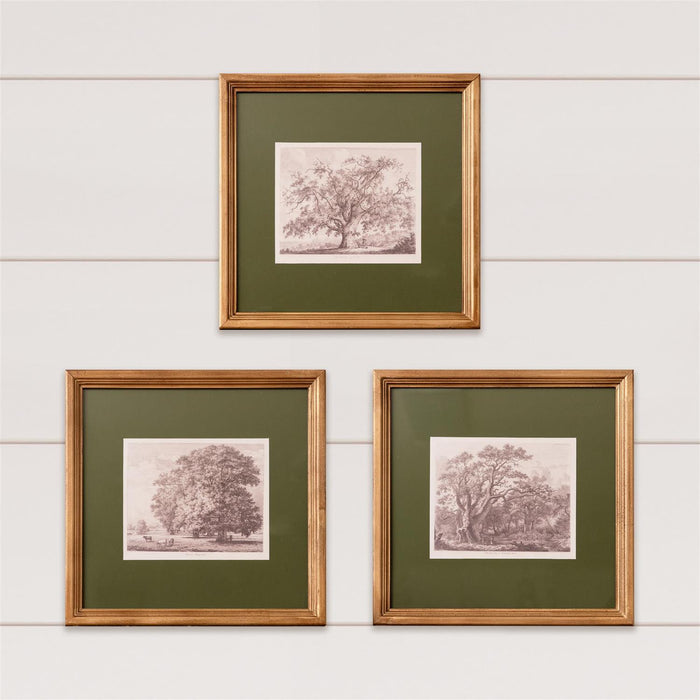 Art Print, Olive Tree, 3 Styles