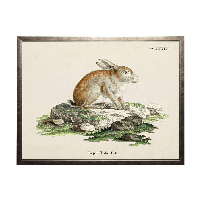 Vintage bunny bookplate on a distressed background