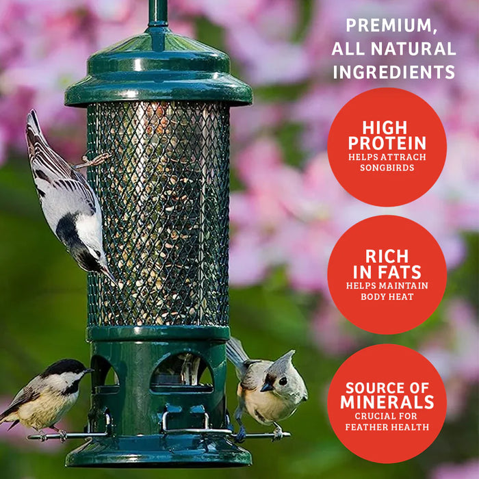 Cardinals Crave Birdseed