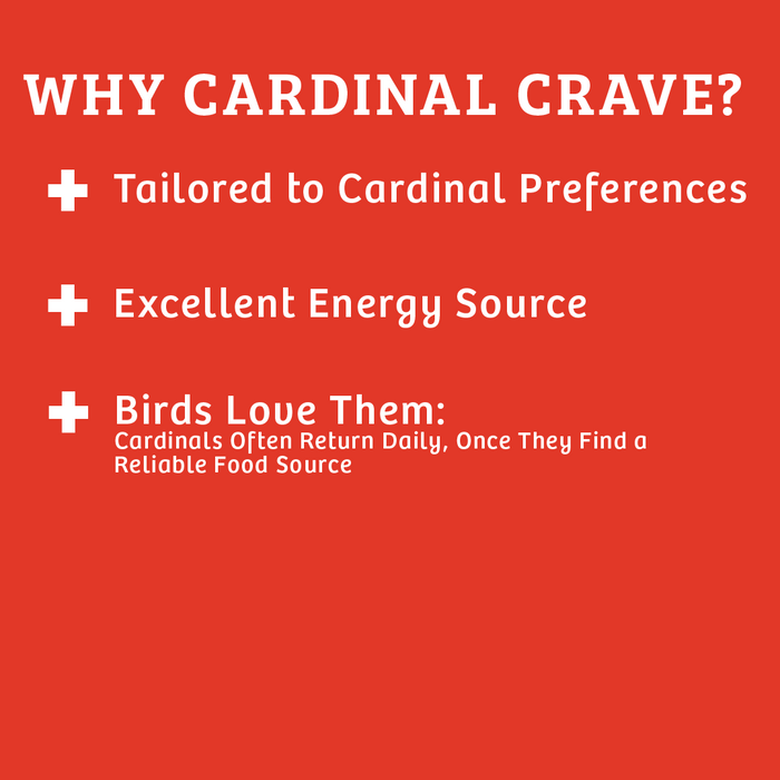 Cardinals Crave Birdseed