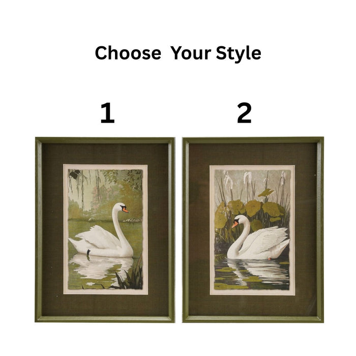 Framed Art Print, Swan, 2 Styles