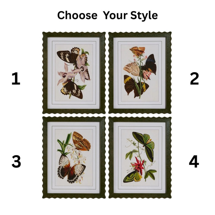 Art Print, Butterfly Framed, 4 Styles
