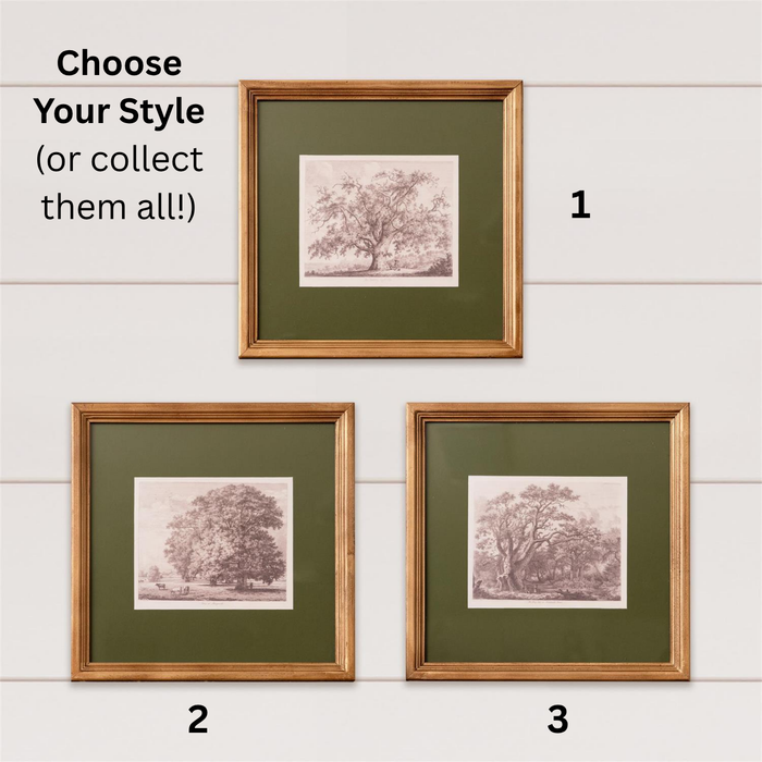 Art Print, Olive Tree, 3 Styles