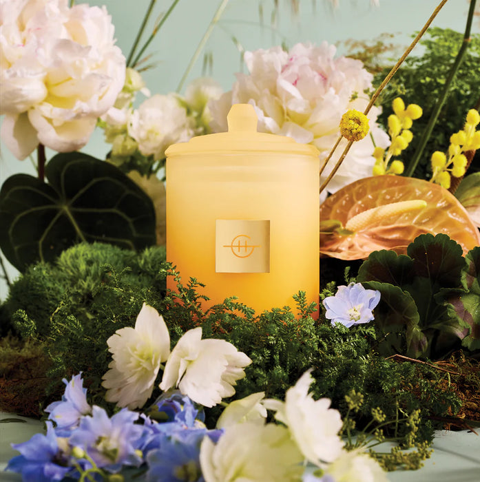 Candle, Flower Show