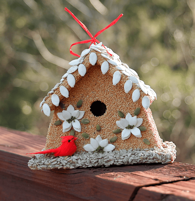 Poinsettia House
