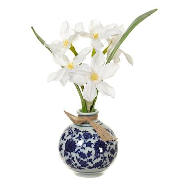 Paperwhite in Chinoiserie Vase