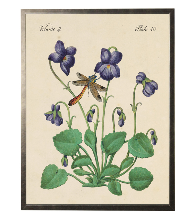 Art Print, Pansies and Dragonfly