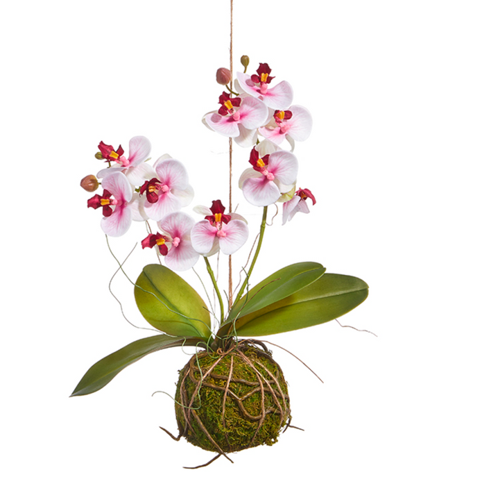 Real Touch White and Pink Orchid Moss Ball