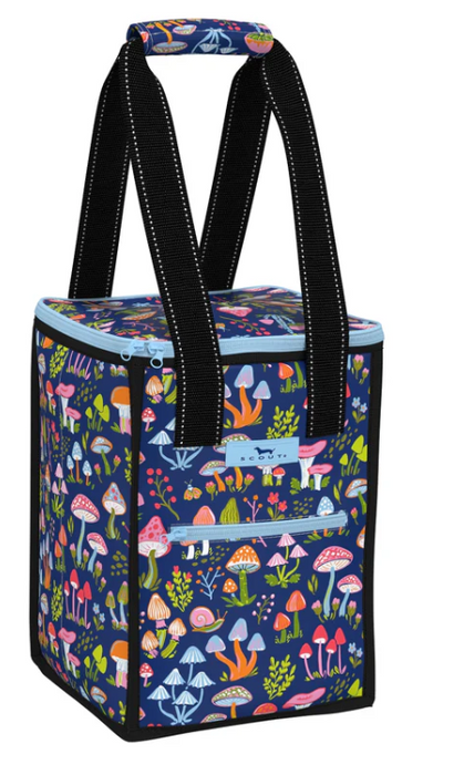 Scout Pleasure Chest, Filed Trip