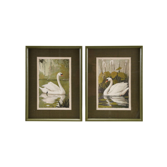 Framed Art Print, Swan, 2 Styles