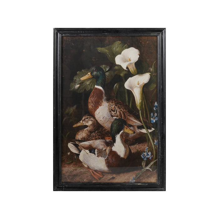 Art Print, Framed Duck Print