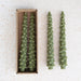 Unscented Tree Shaped Taper Candles, Set of 2