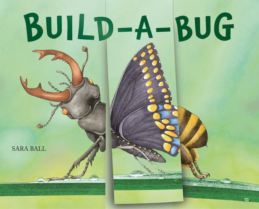 Build-A-Bug Book