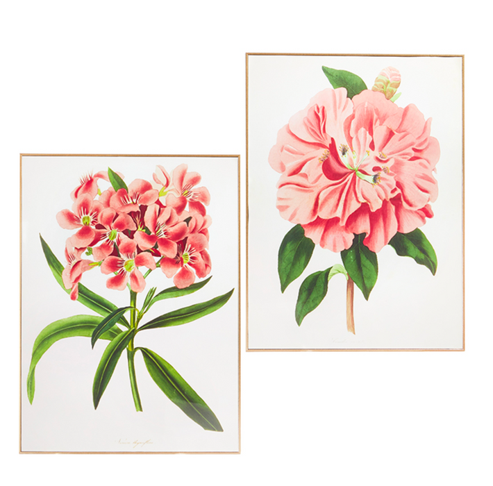 Floral Wall Art, Set of 2