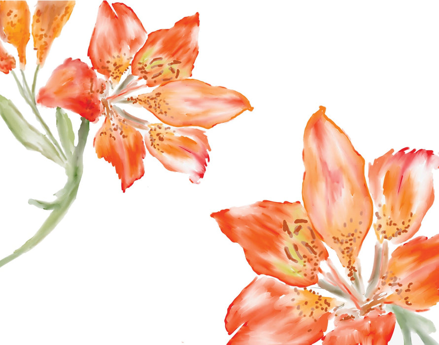 Boxed Note Card Set, Tiger Lilies