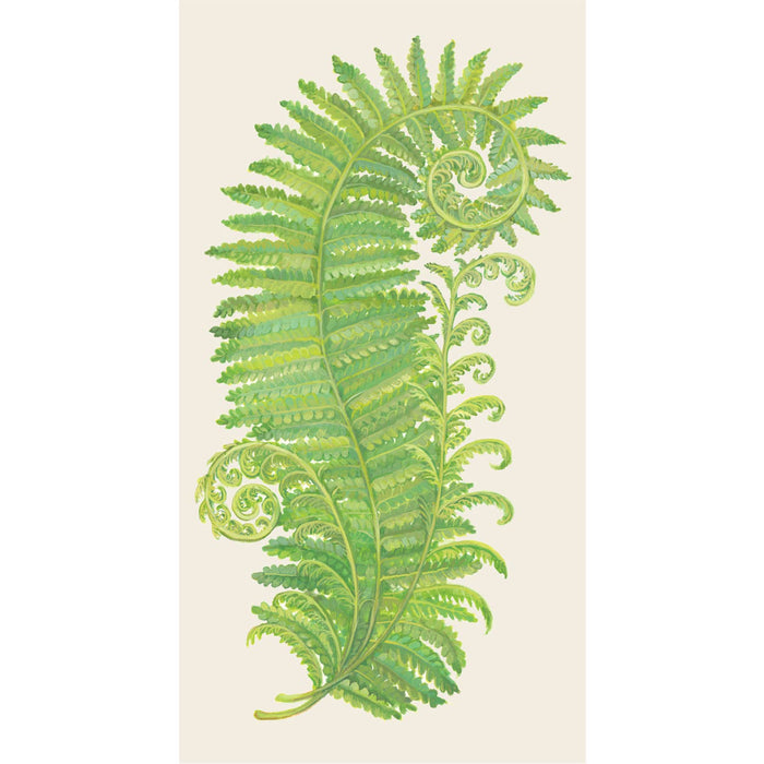 Fern Guest Napkin - Pack of 16